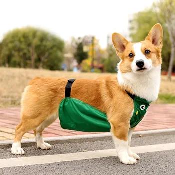 Slatka Osnovna Pas Plašt Odjeća Jednostavan Pupak Za Pse Vodootporna Odjeća Za Kišu Kombinezon Za Kućne Ljubimce Veliki Štene Psa